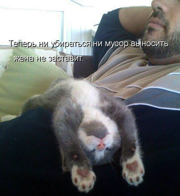 Веселые картинки
