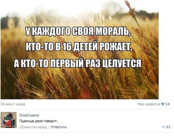 Смешные комментарии из социальных сетей 12.02.2016