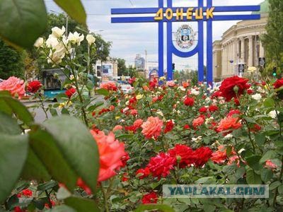 Девушки, которых боится украинская армия
