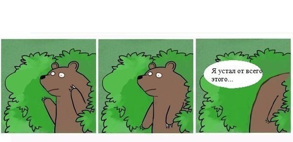 Правильные зайцы и кошки