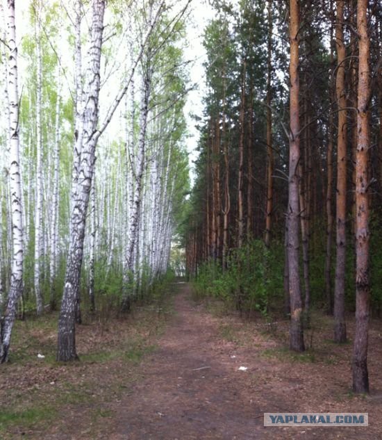 Подборка прикольных фото