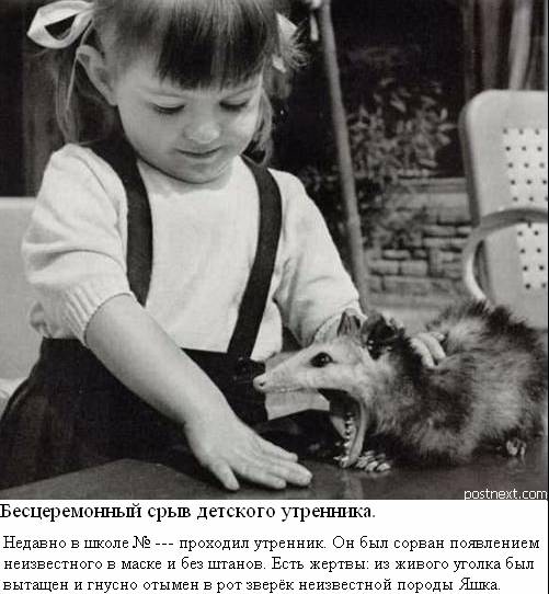 Фотожаба: Желтая пресса