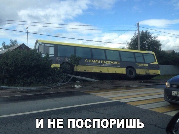 Картинки и гифки, глаза порадовать