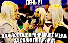 Порция пикчей из палаты №6
