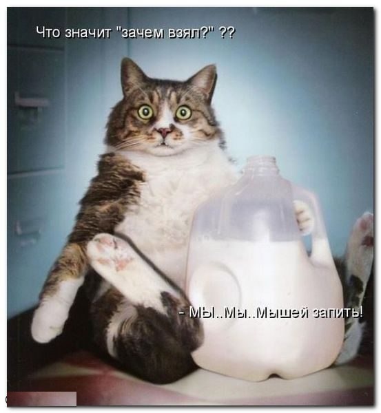 Немножко картинок с буквами, типа демотиваторы
