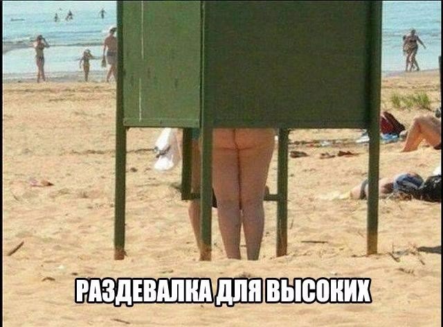 Подборка безудержного веселья