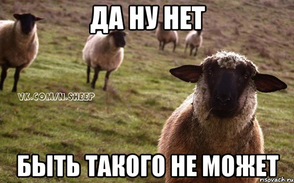 ФСБ вводит режим пограничной зоны вдоль границы с Белоруссией