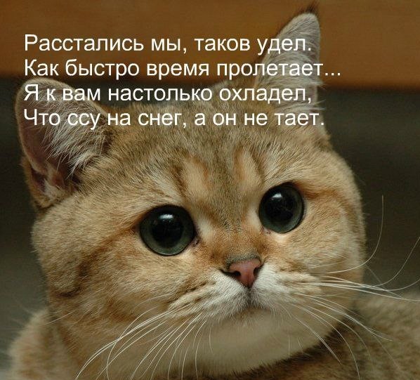 Просто "солянка" картинок из всяких ваших интернетов.
