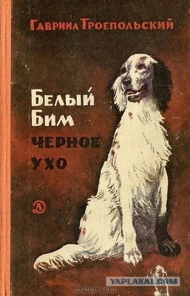 Мне подарили книгу...