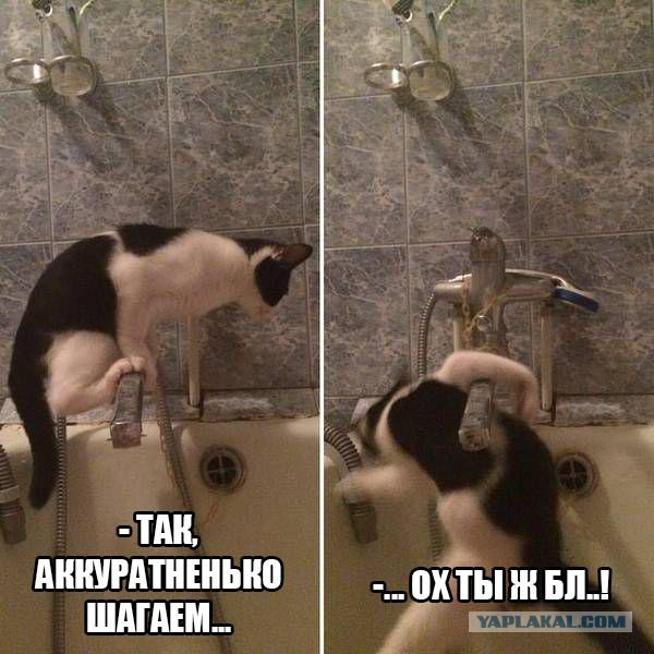 Картинки из вк