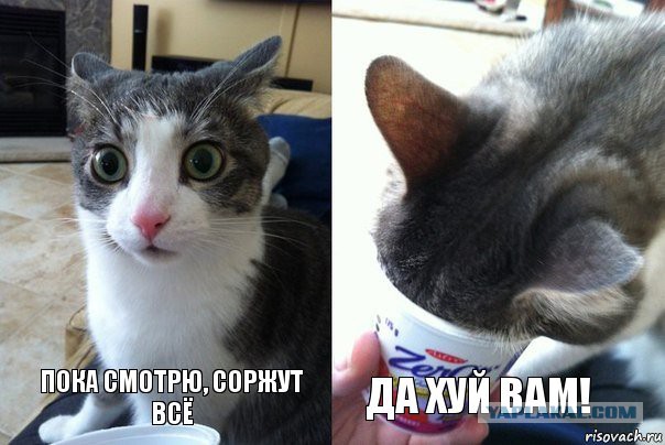 Почему бы не подеградировать, коллеги?