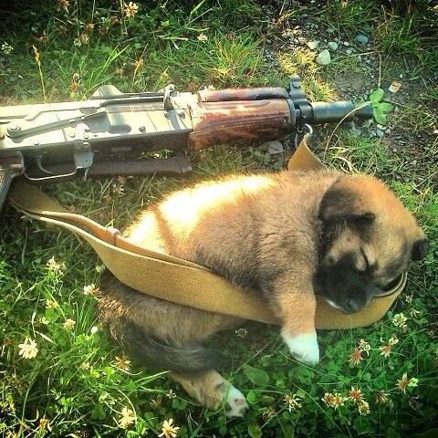 Картинки всякие разные