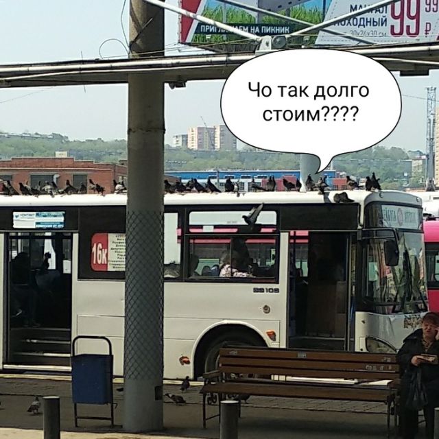 Нестандартный юмор