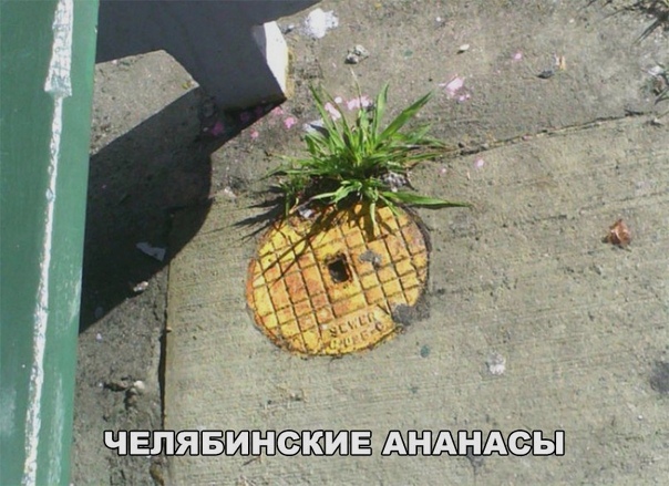 Прикольные картинки абавсём