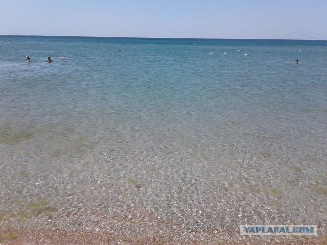 В Сочи на море - ни ногой!