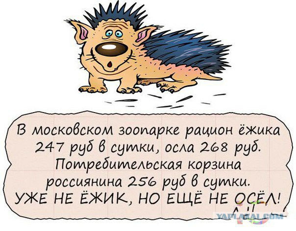 Скандальная министр Соколова получала ещё и материальную помощь от государства