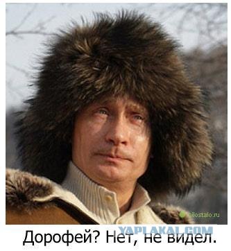 Дорофей убежал! Ещё один всё понял...