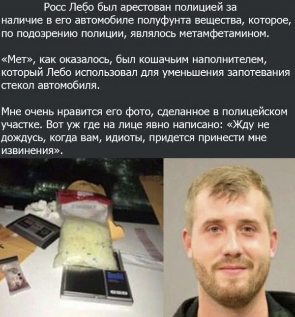 Анекдоты, соц-сети и картинки с надписями