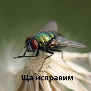 И я хочу поделиться увиденным