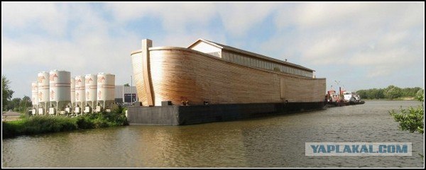 Места в ковчеге