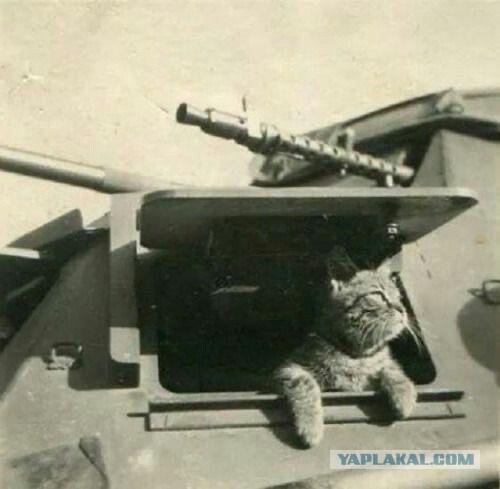 Танкокомиксы
