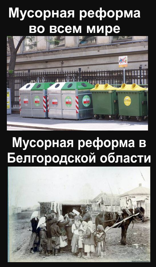 Бред наяву: во Владимире мусорная реформа сломала все, что хорошо работало