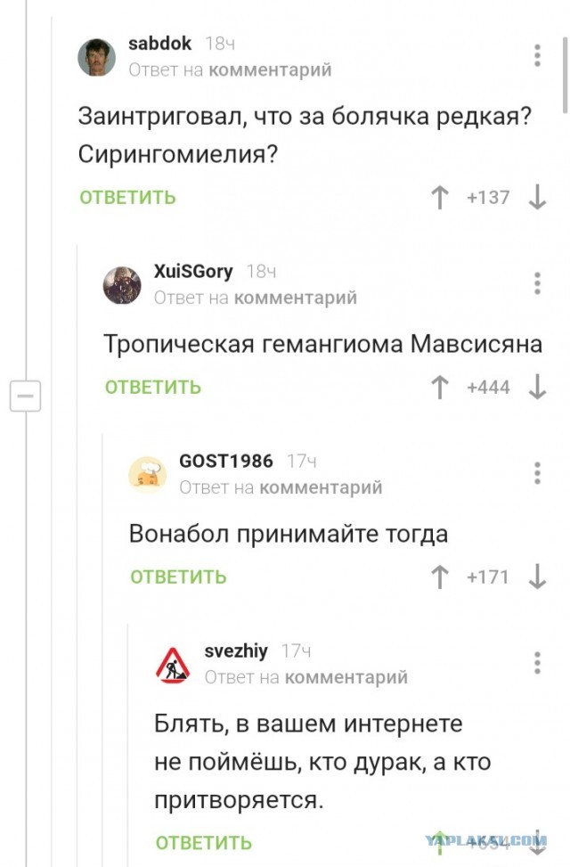 Тихо, идёт отбор