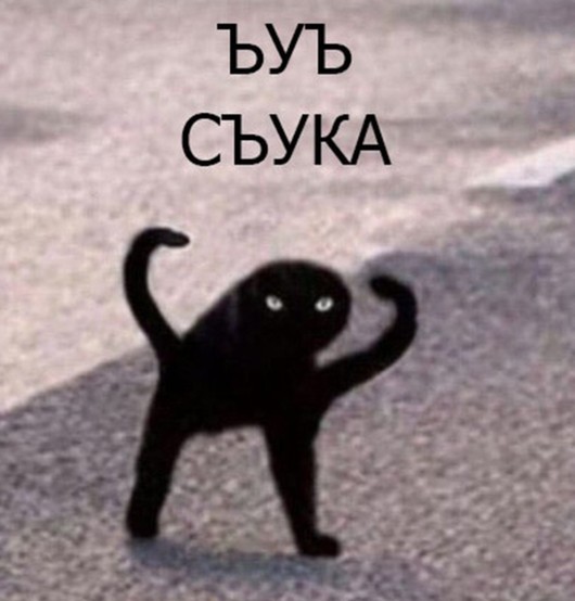 Мечта моя - щёлкнуть блоховозу прямо в нос!