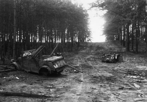Главное было не останавливаться и бежать, бежать, бежать.Хальбский «котёл» и уничтожение 9-й немецкой армии,1945 год.