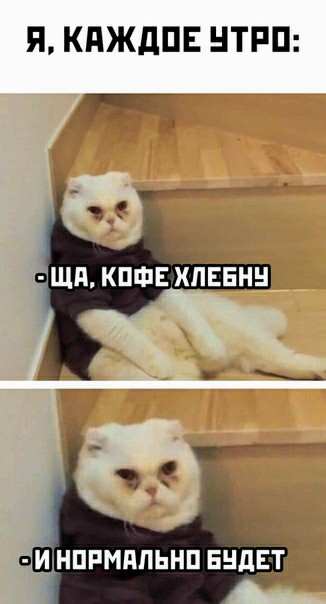 Немного картинок для настроения 20.10.20