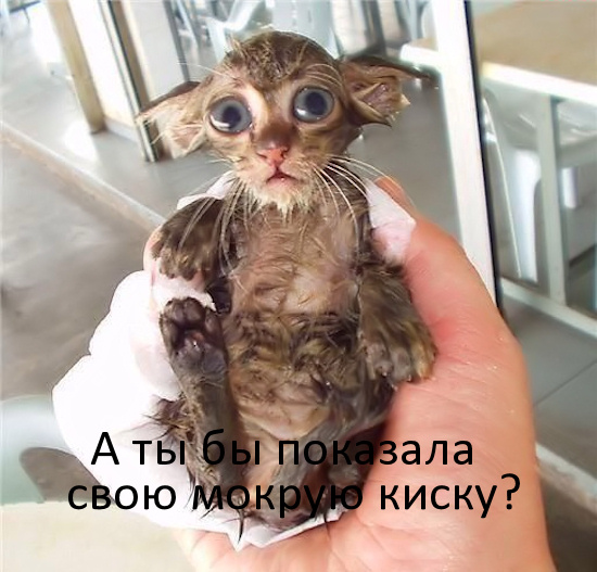 Фотожаба: А ты?