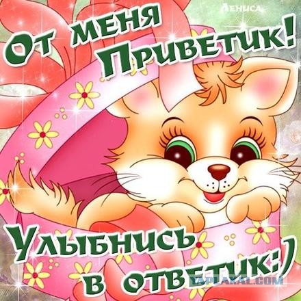 Я люблю вашего мужа