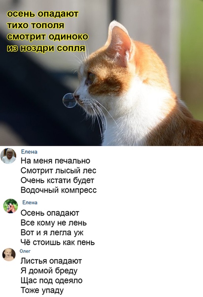 Юмор в картинках 7.11.20
