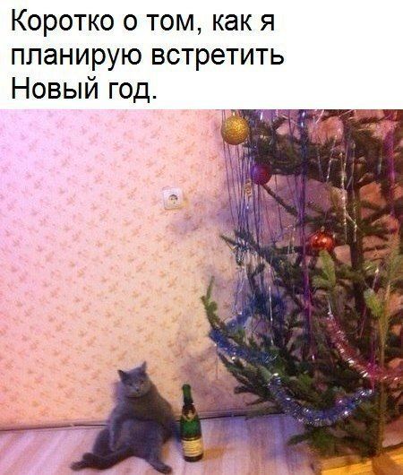 Бредзона 10.11.2020