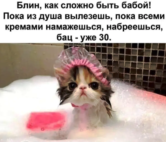 Юмор в картинках 11.11.2020.