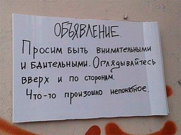 Прикольные и просто красивые картинки 23.12.2020