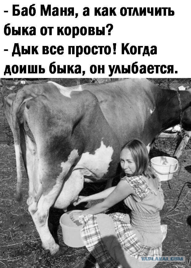 Так себе картинки 13.03.21