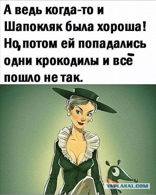 Мужчина ничего не должен, но всё равно должен