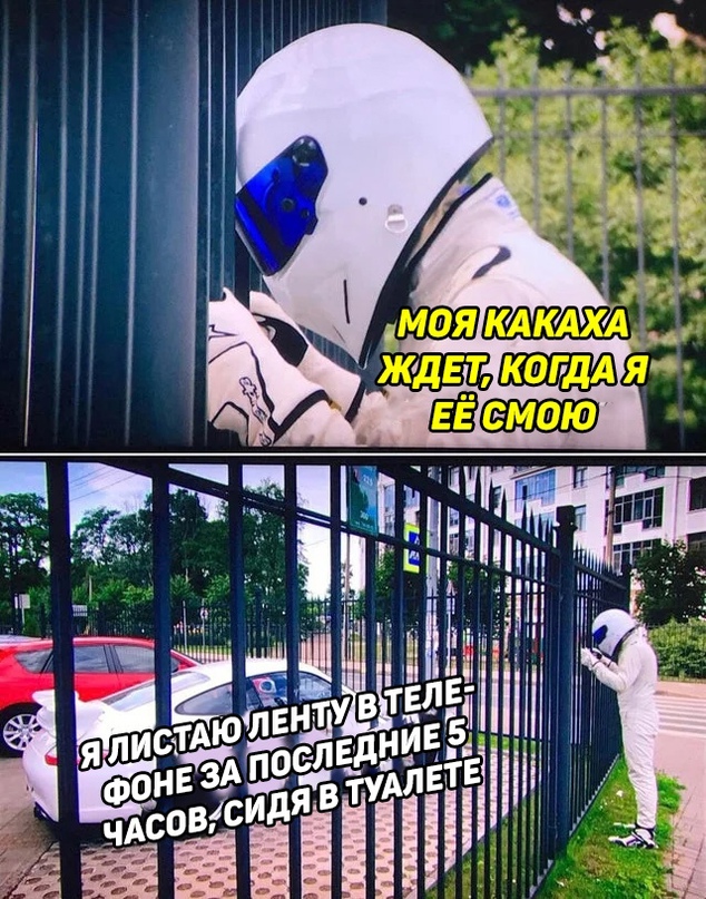 Весёлый полтишок 8.06.21
