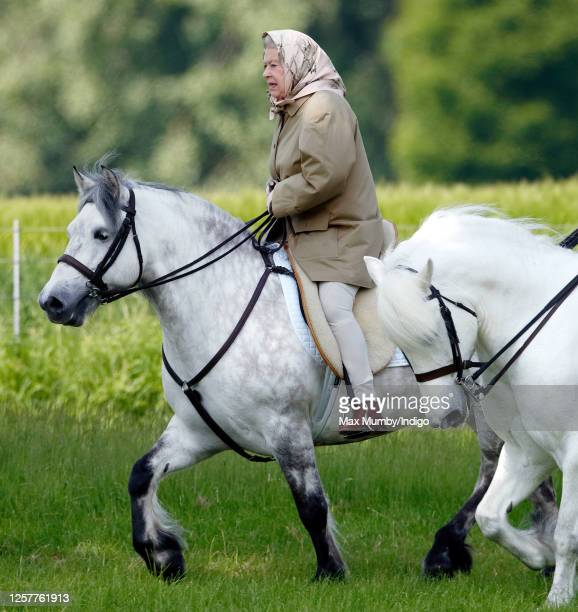 Королева Елизавета II и лошади