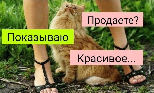 В связи с последними тенденциями на ЯПе - картинка девушки.