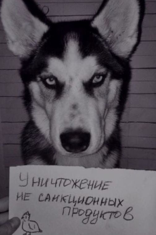 Кретинизмы из сети 13.08.2021