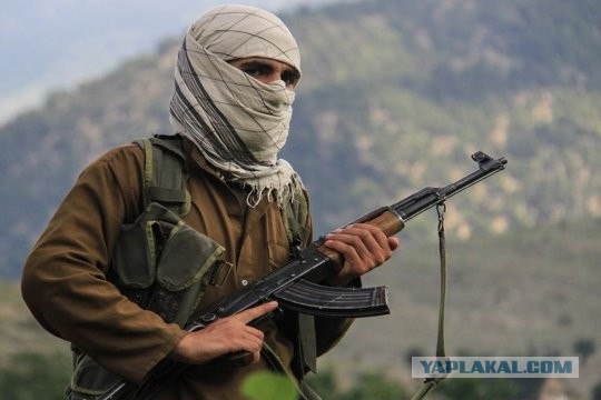 Высокие гости в нашей школе