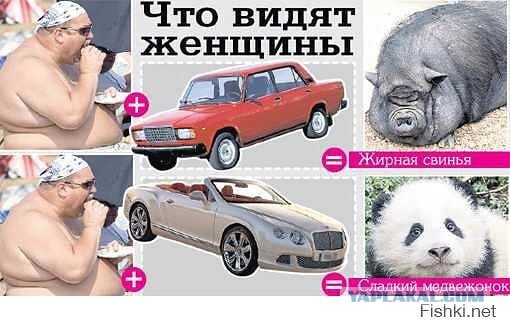 Зачем наши жены нас откармливают
