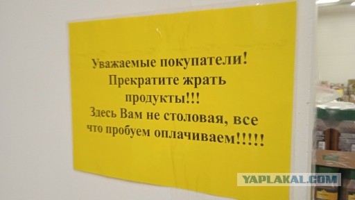 Всяческие картинки 08.11.2021