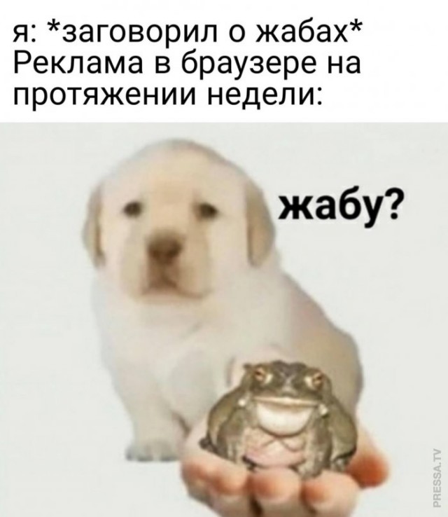 Картинки и мемы для настроения  - 27