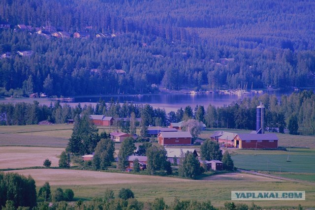 Обзор Ювяскюла (Финляндия)
