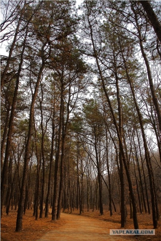 НЕтуристическая Корея