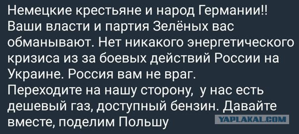 Про наглость человеческую