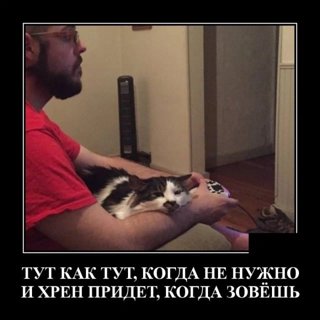 Картинки с надписями 23.07.22